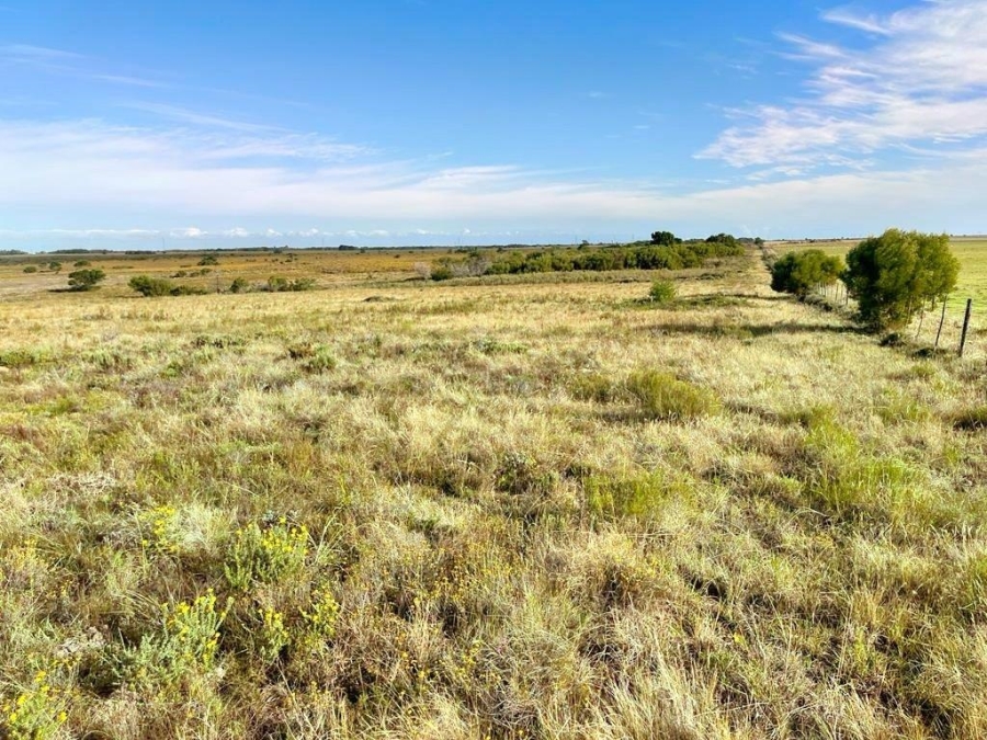0 Bedroom Property for Sale in Humansdorp Rural Eastern Cape